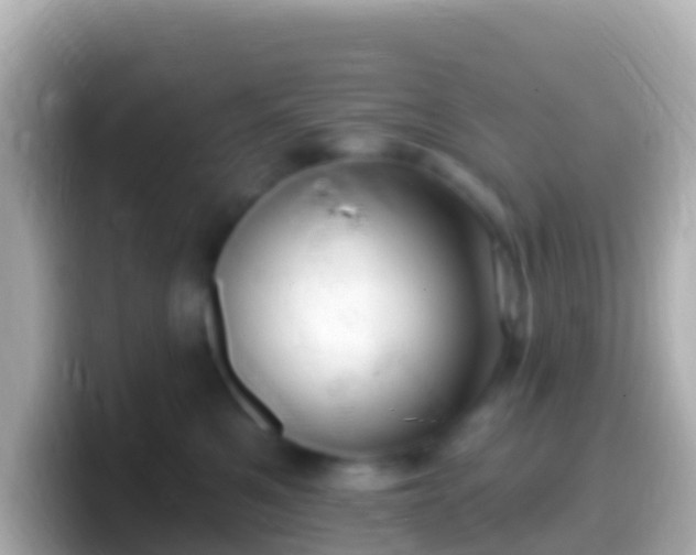 X0000099580521200805231553