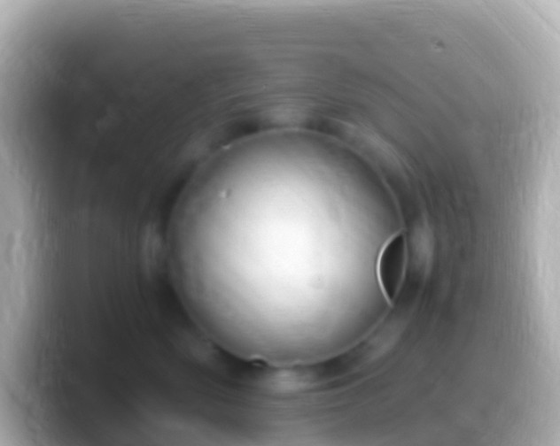 X0000099580522200805231553