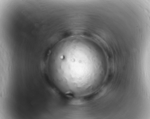 X0000099580523200805231553