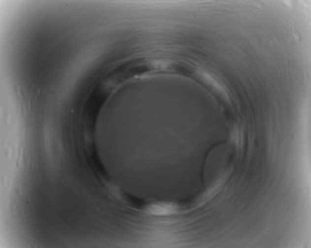 X0000099580526200805231553