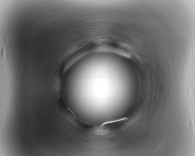X0000099580528200805231553