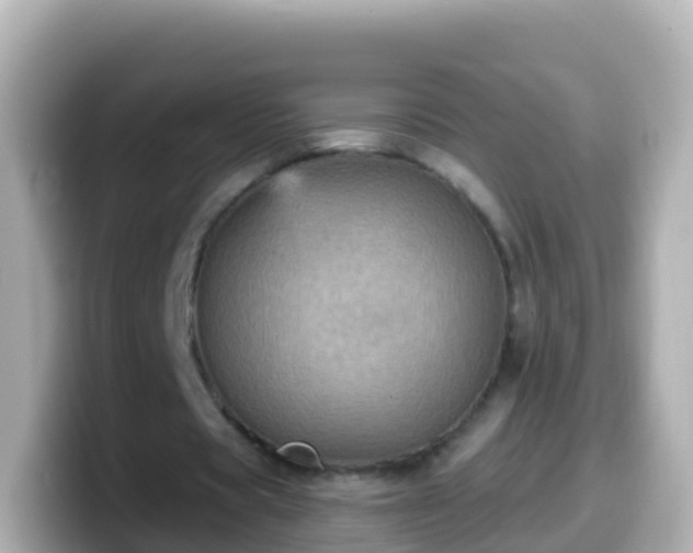 X0000099580529200805231552