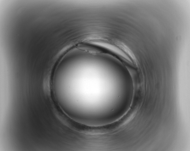 X0000099580530200805231552