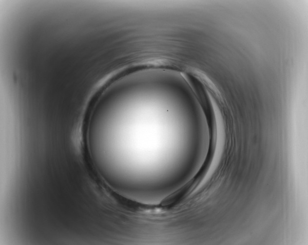 X0000099580532200805231552