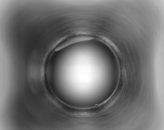 X0000099580533200805231552
