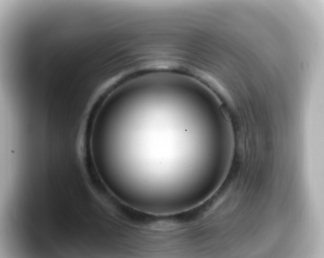 X0000099580536200805231552