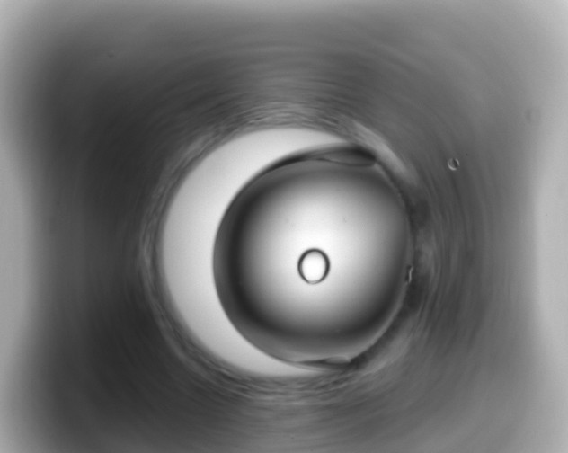 X0000099580538200805231552