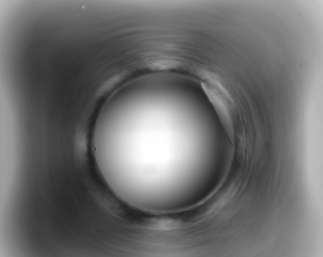 X0000099580539200805231552