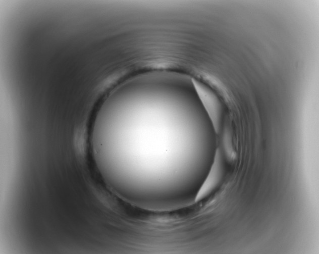 X0000099580540200805231552