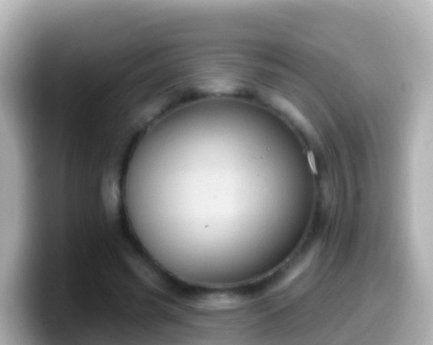 X0000099580541200805231552