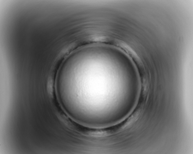 X0000099580542200805231552