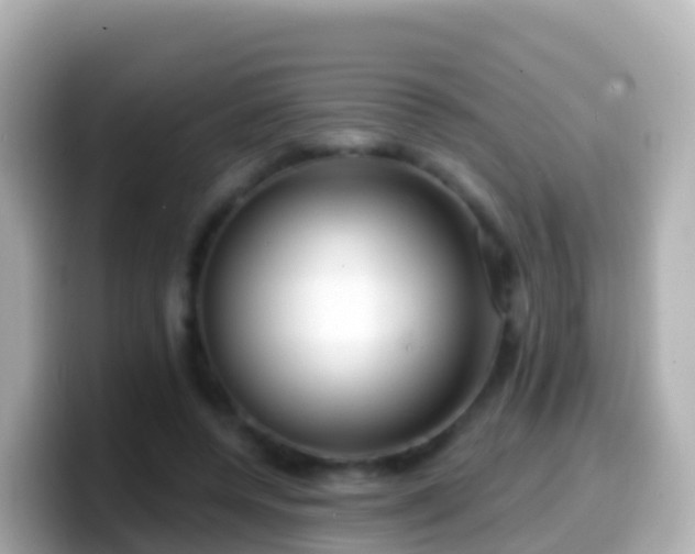 X0000099580544200805231552