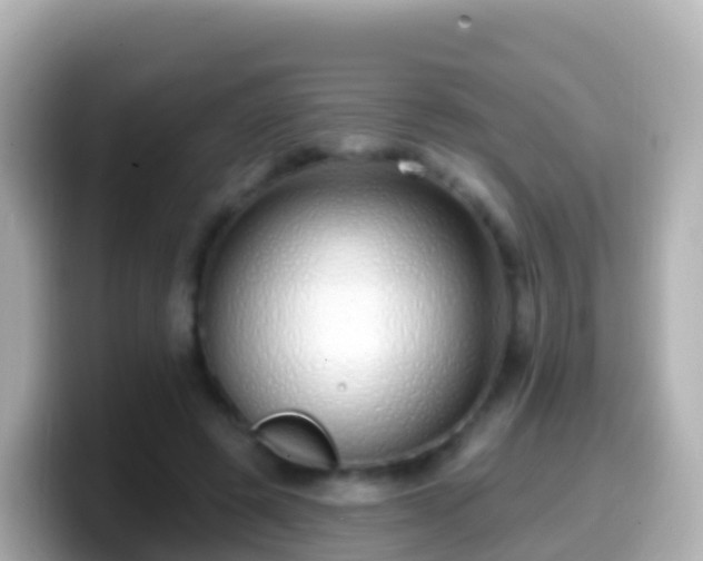 X0000099580545200805231553