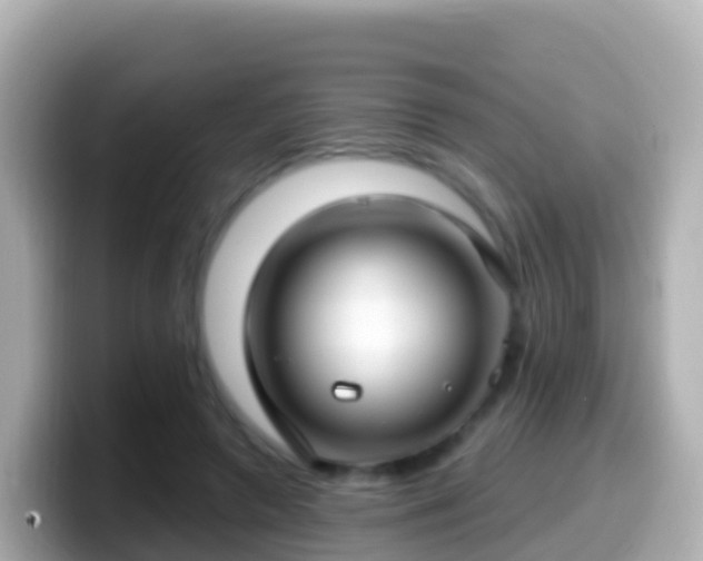 X0000099580546200805231553