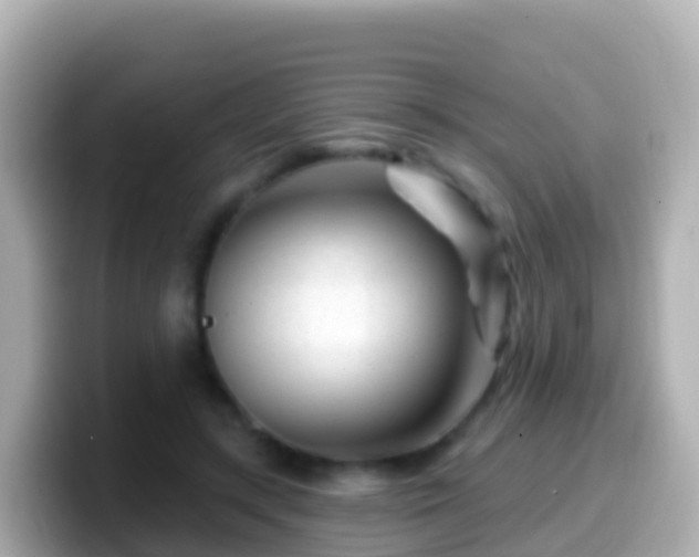 X0000099580547200805231553