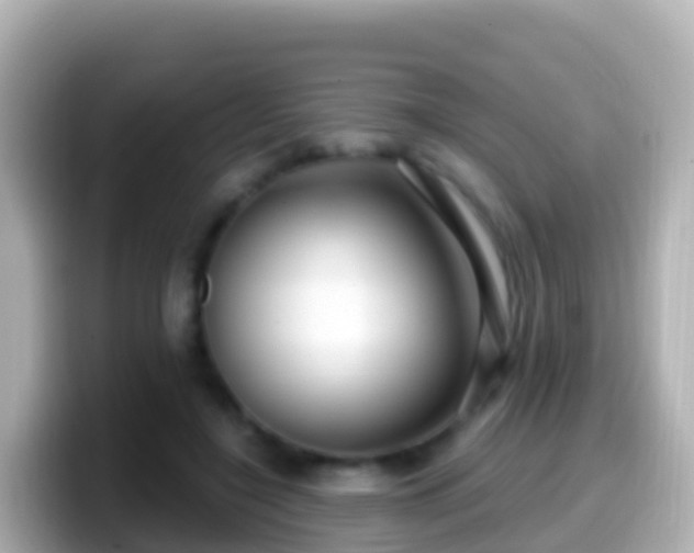 X0000099580548200805231553