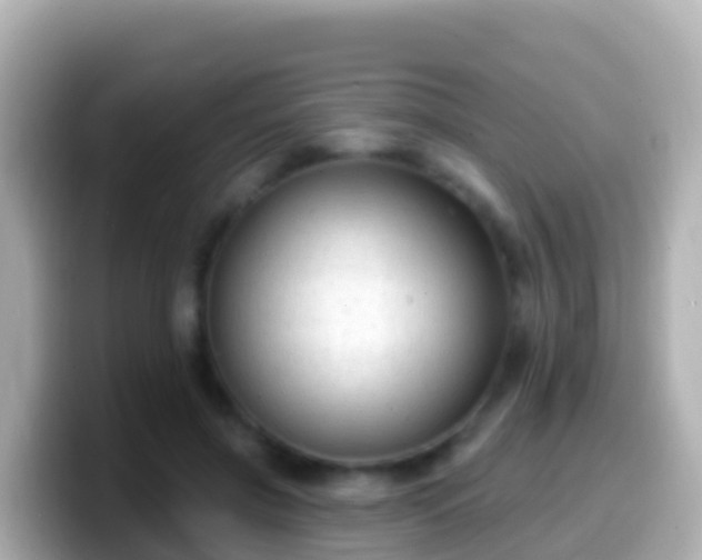 X0000099580549200805231553