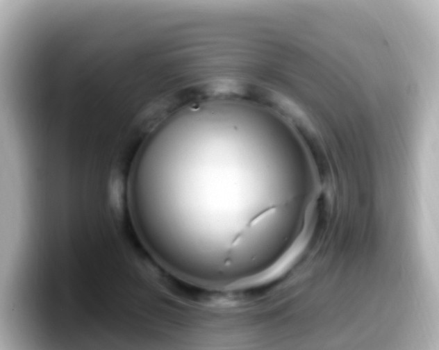 X0000099580550200805231553