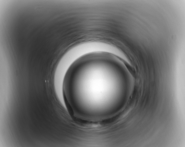 X0000099580552200805231553