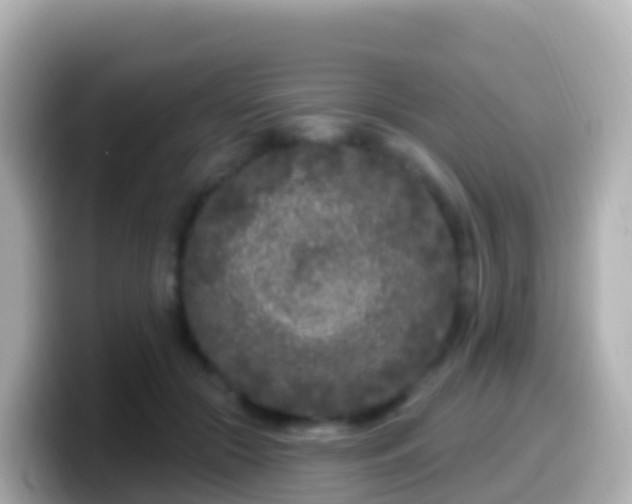 X0000099580553200805231553