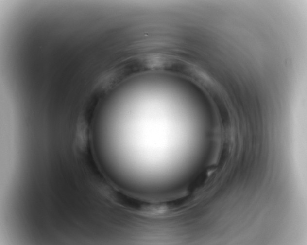 X0000099580554200805231553