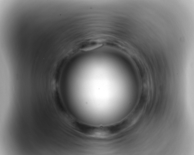 X0000099580555200805231553