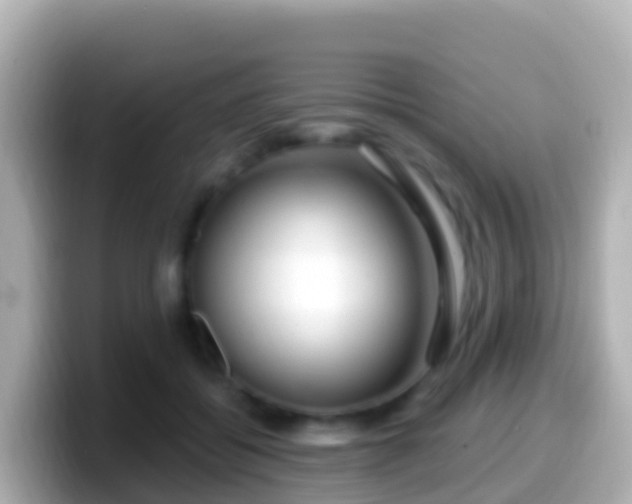 X0000099580556200805231553