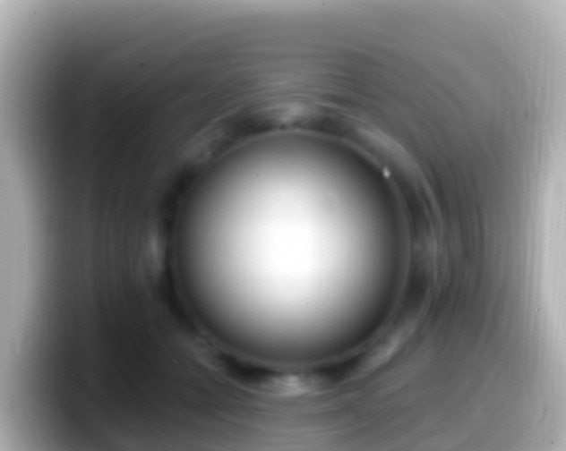 X0000099580558200805231553