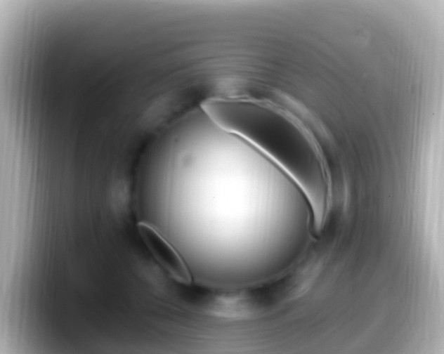 X0000099580560200805231553