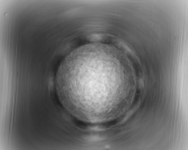 X0000099580561200805231553