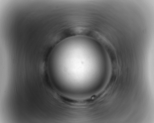 X0000099580563200805231553