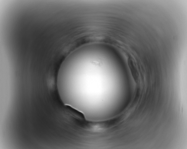 X0000099580564200805231553