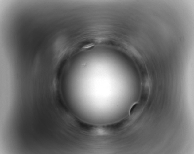 X0000099580565200805231553