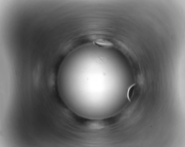 X0000099580567200805231553