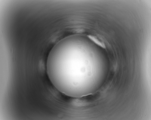X0000099580568200805231553