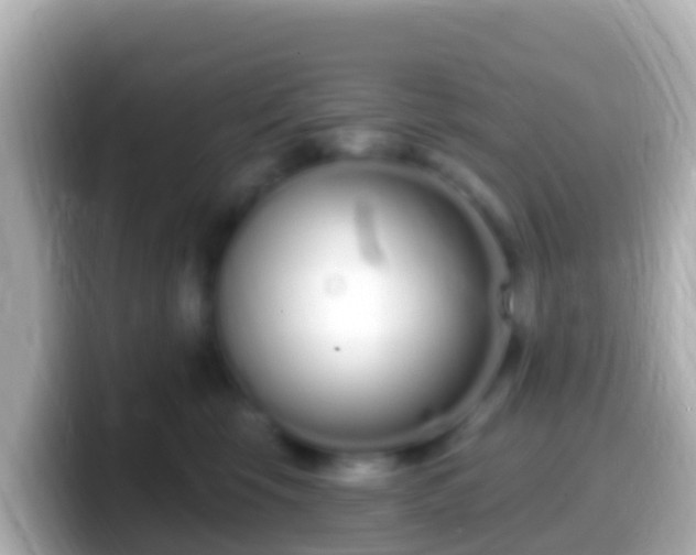 X0000099580569200805231553