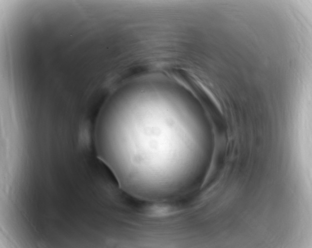 X0000099580570200805231553