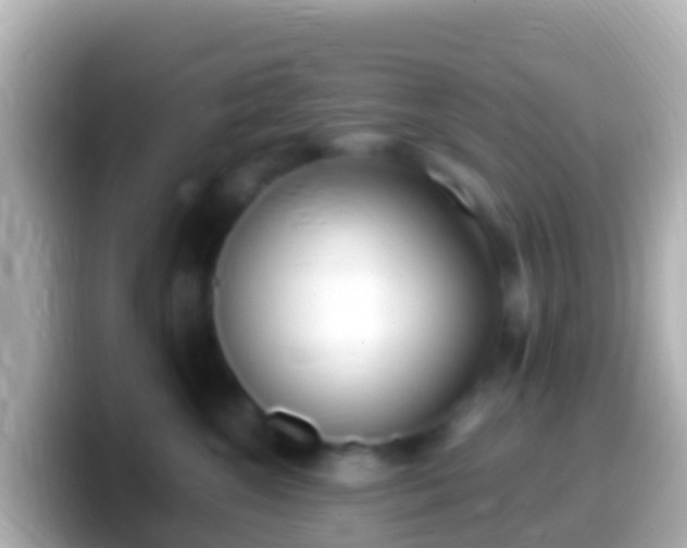 X0000099580572200805231553