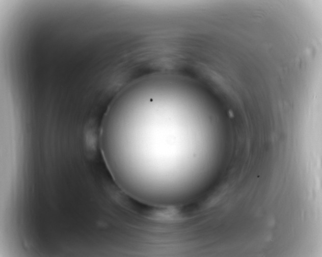 X0000099580576200805231553