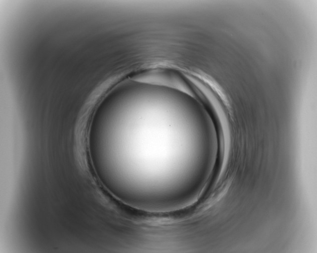 X0000099580577200805231552