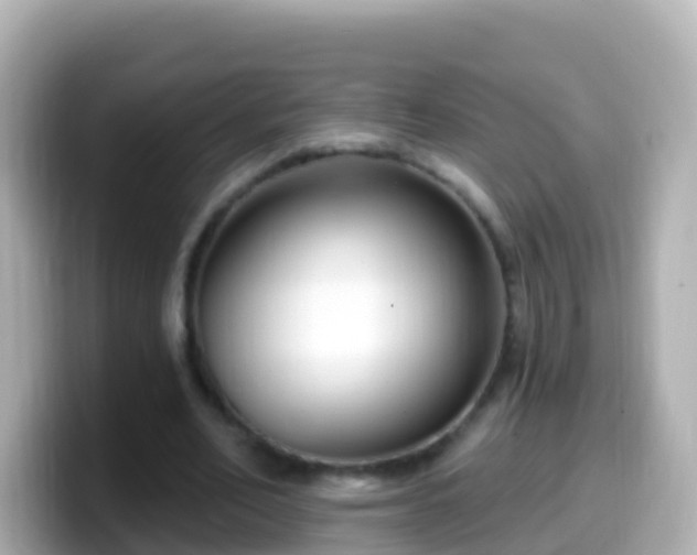 X0000099580582200805231552