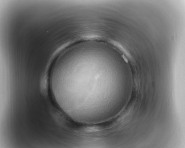 X0000099580583200805231552