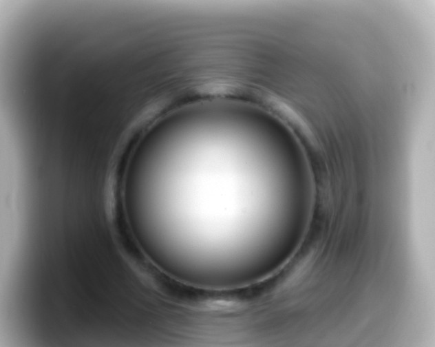 X0000099580586200805231552