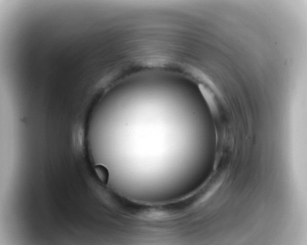 X0000099580589200805231552
