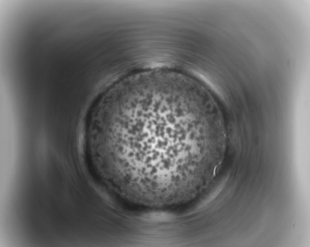 X0000099580590200805231552