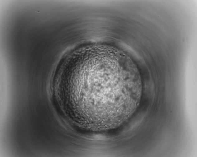 X0000099580592200805231552