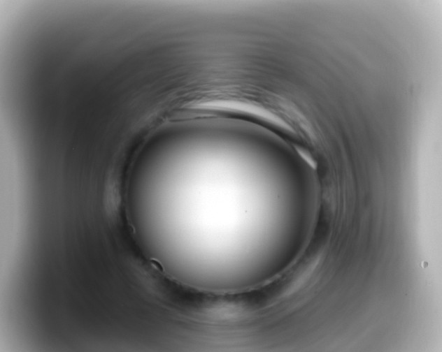 X0000099580593200805231552