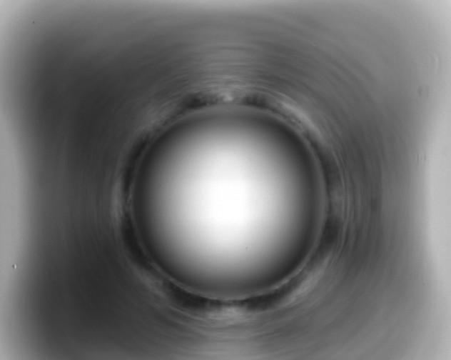 X0000099580594200805231552