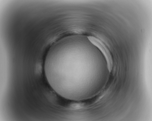 X0000099580595200805231552