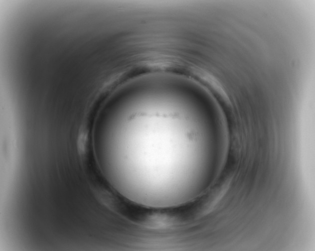 X0000099580596200805231552